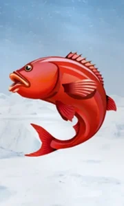 Ice Fishing
